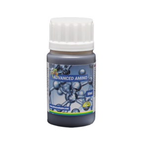 Amino