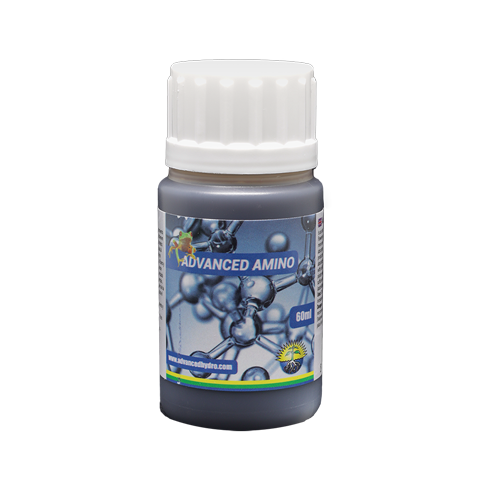 Amino
