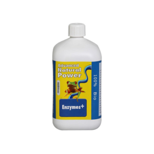 10.033 Enzymes +