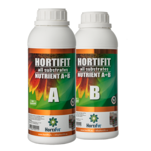 10.050 Basis voeding A+B
