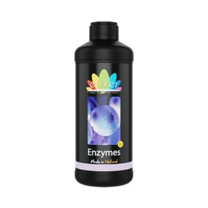 10.416 Enzymes