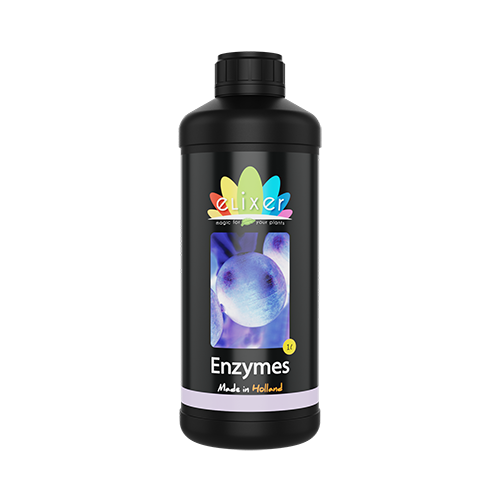 Enzymes