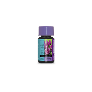 11.034 B'Cuzz Blossom Builder Liquid