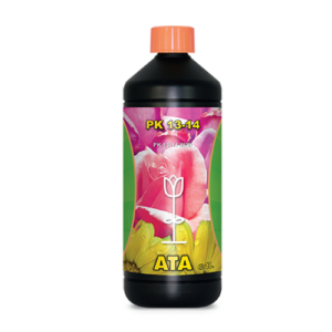 11.065 Ata PK 13-14