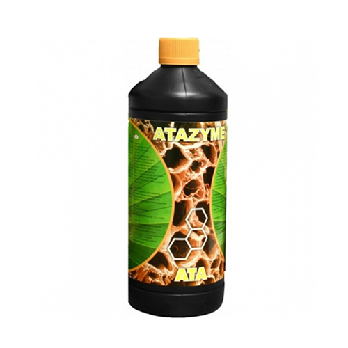 Ata zyme
