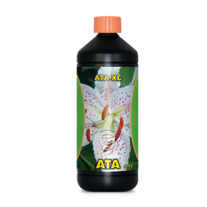 11.071 Ata XL