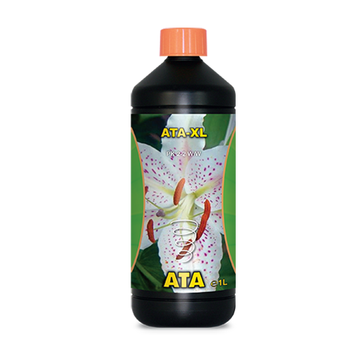 Ata XL
