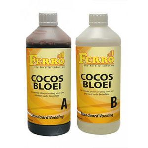 11.212 Cocos Bloei A+B