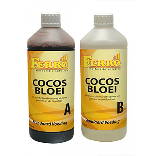 Cocos Bloei A+B