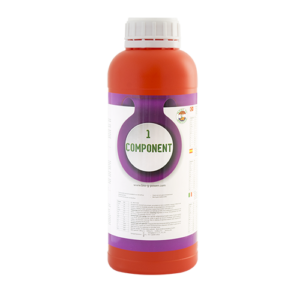 1 Component