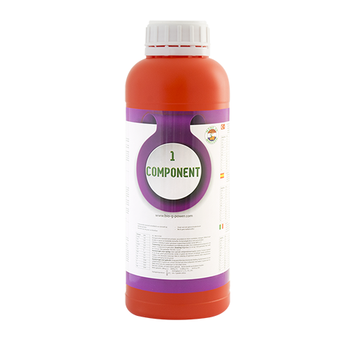 1 Component
