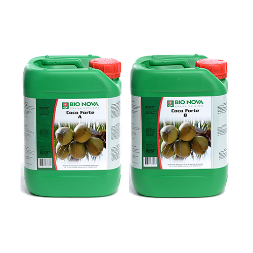 Coco Forte A+B
