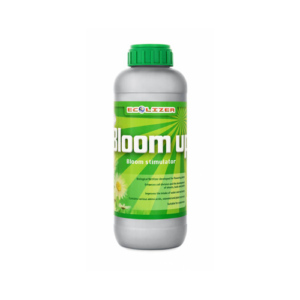 12.519 Bloom Up