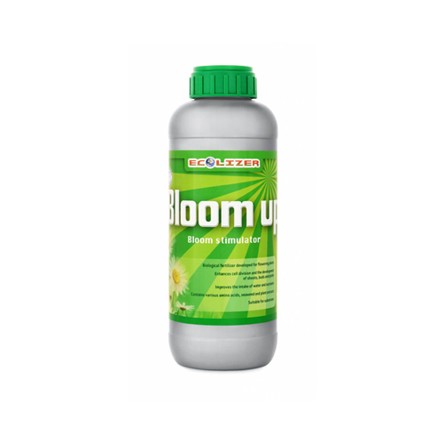 Bloom Up