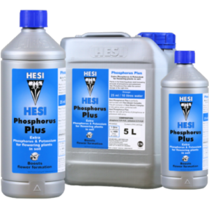 13.016 Phosphor Plus