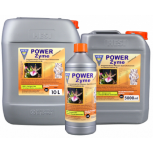 13.037 Powerzyme