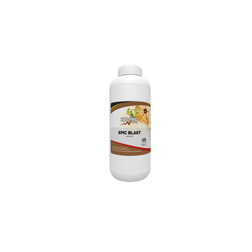 Coco Epic Blast