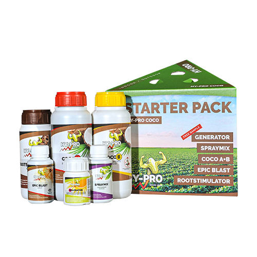 Starter pack coco