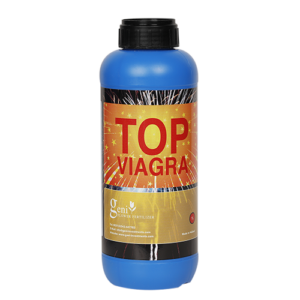 Top Viagra PK - Booster