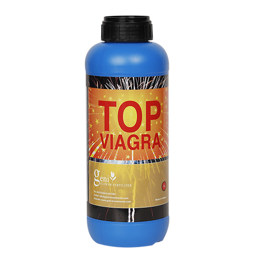 Top Viagra PK - Booster