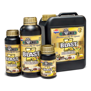 15.556 X-Blast