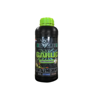 15.575 Garlic
