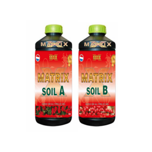 16.005 MTX Soil A+B