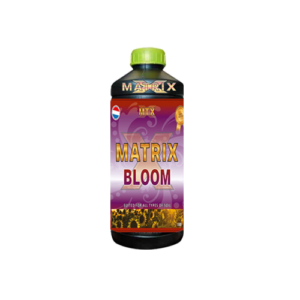 16.072 MTX Bloom