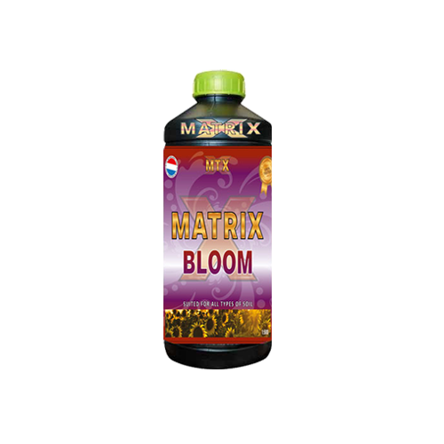 MTX Bloom