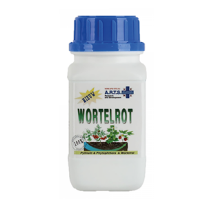 Wortelrot