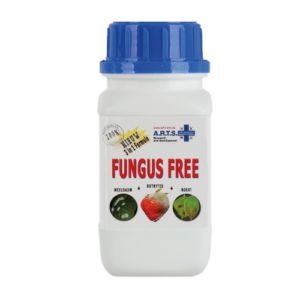 16.205 Funges free