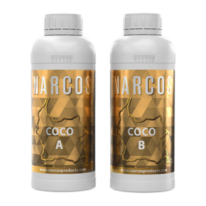 Coco A+B