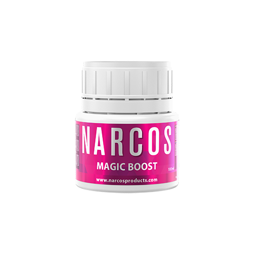 Magic Boost