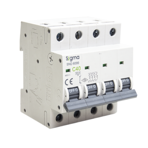 Sigma Hoofdschakelaar 80A