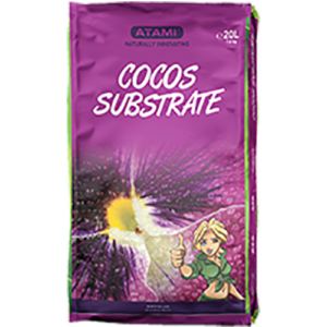 61.020 Atami Cocos