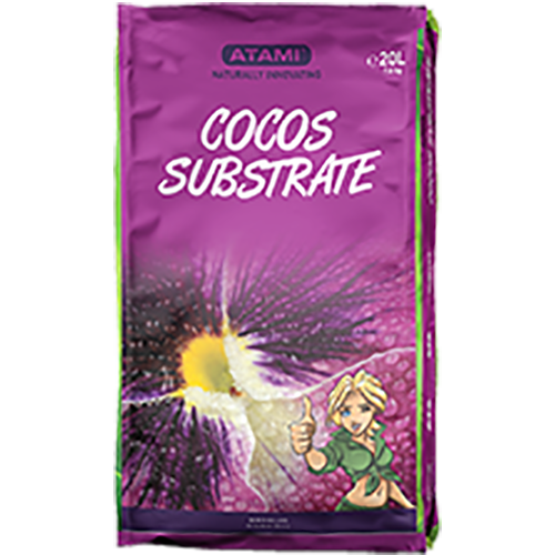 Atami Cocos
