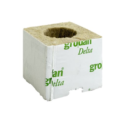 Grodan Startblok 38mm