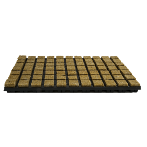 Grodan Plug 1386 per doos