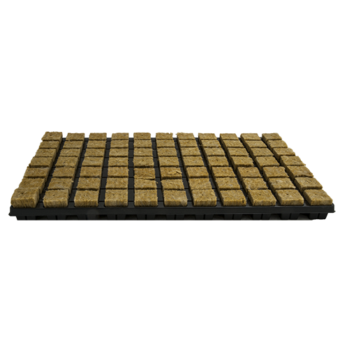Grodan Plug 1386 per doos