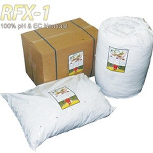 RFX1