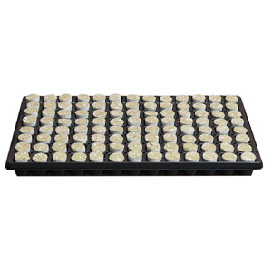 Steenwolplug Rond 104x Prive Label (Kleine gaatjes)