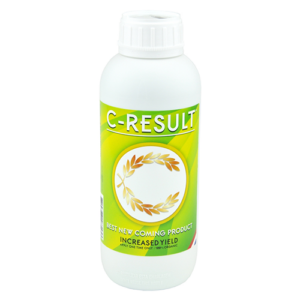 82.032 C-Result 1L